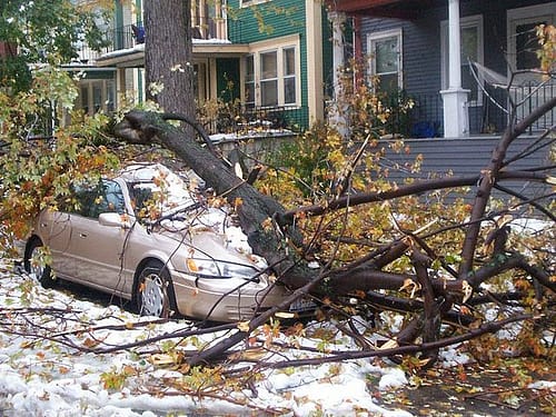 If your tree falls in your neighbors yard, do you have to clean it up?