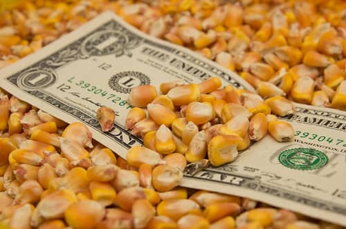 Did Crop Insurance Trigger in 2023?